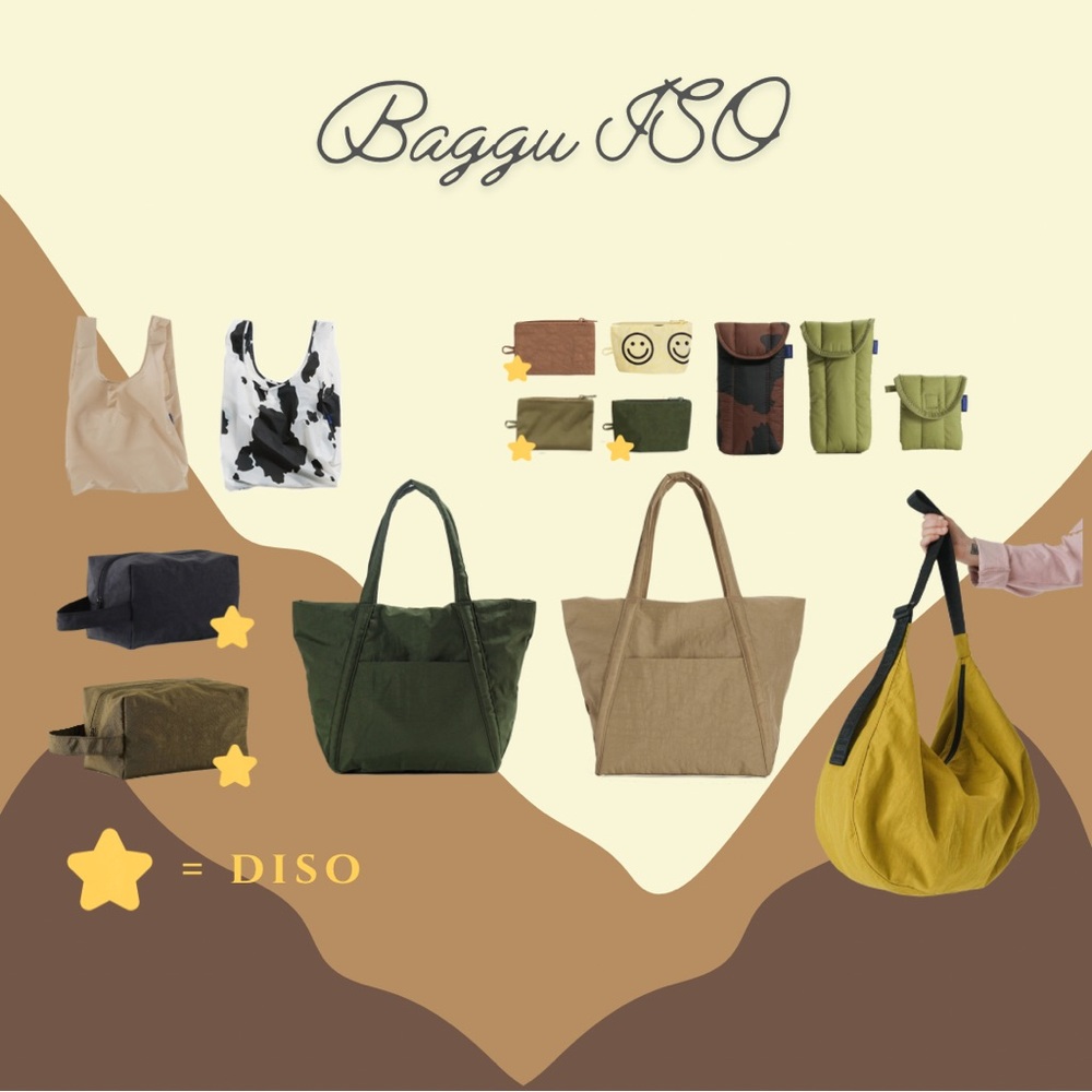 Baggu ISO, DO NOT PURCHASE